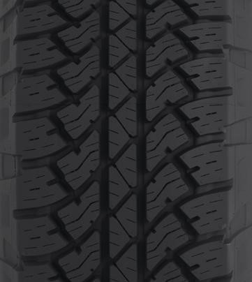 Main Tire