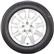 Tire Thumbnail